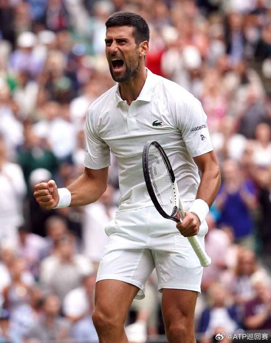 队的比赛士 队的比赛士