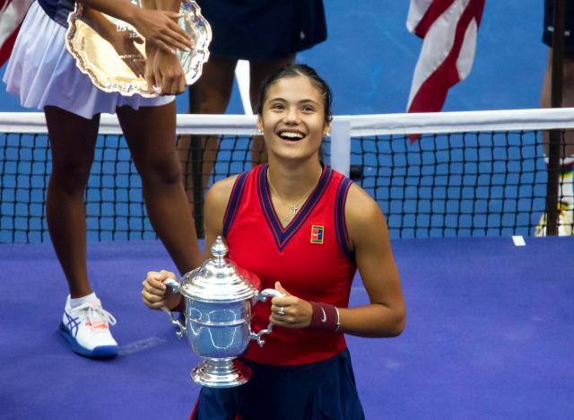 的商業價值 的商業價值