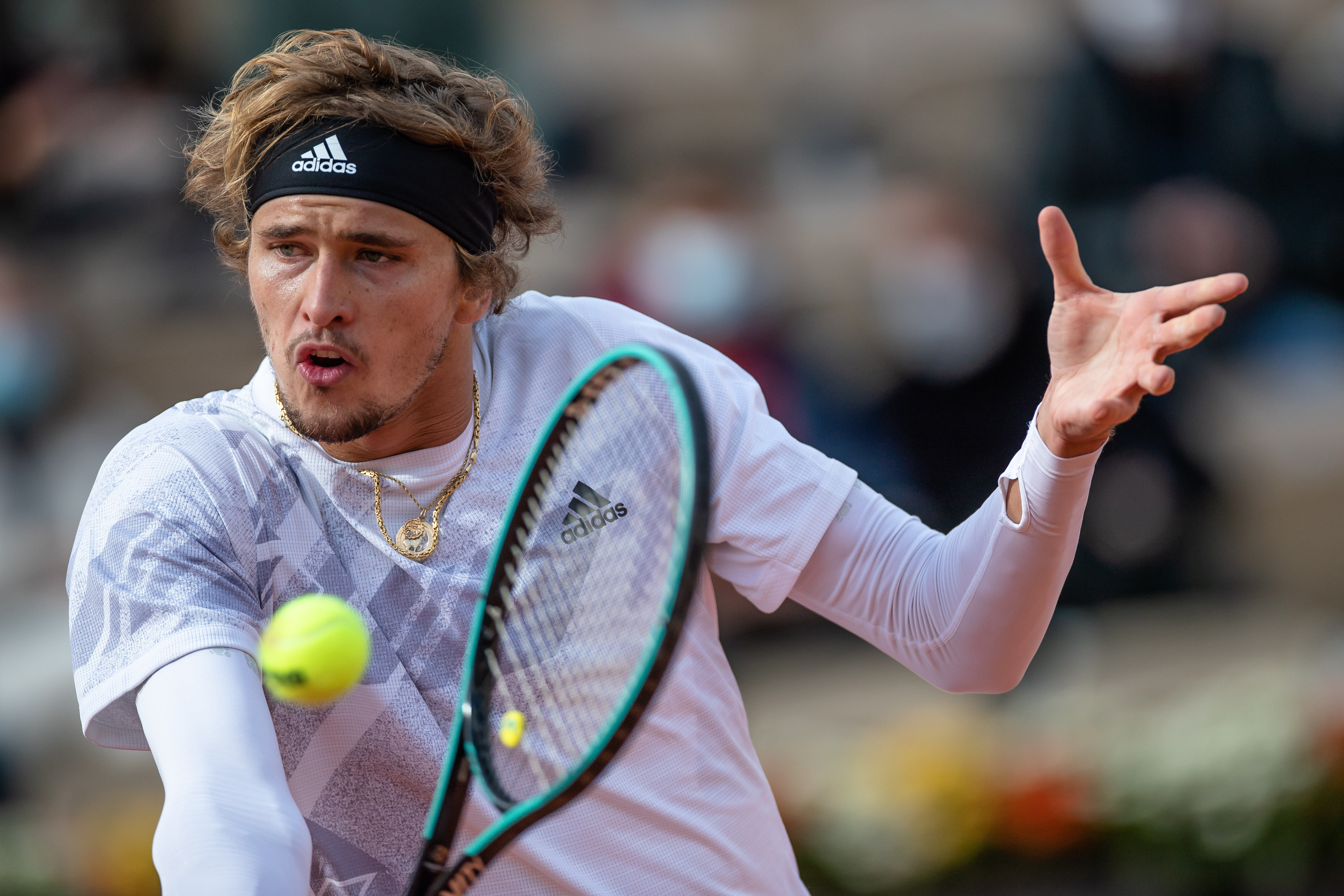 它们在某种 它们在某种