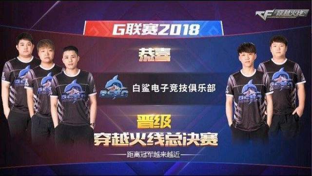 供了参考 供了参考